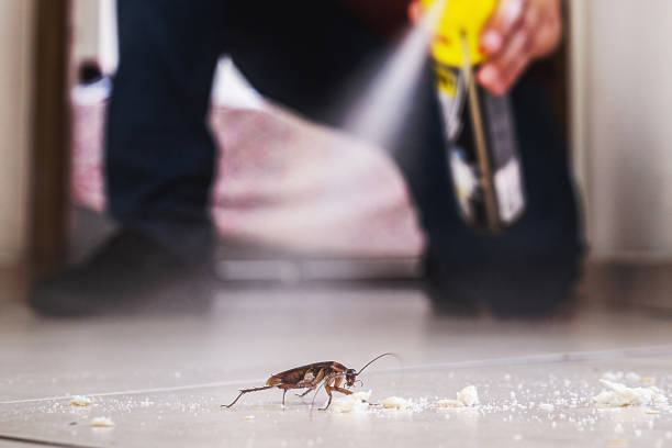 Insect Control in Garden Home Whitford, OR